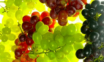 διατροφική διόρθωση για κιρσούς